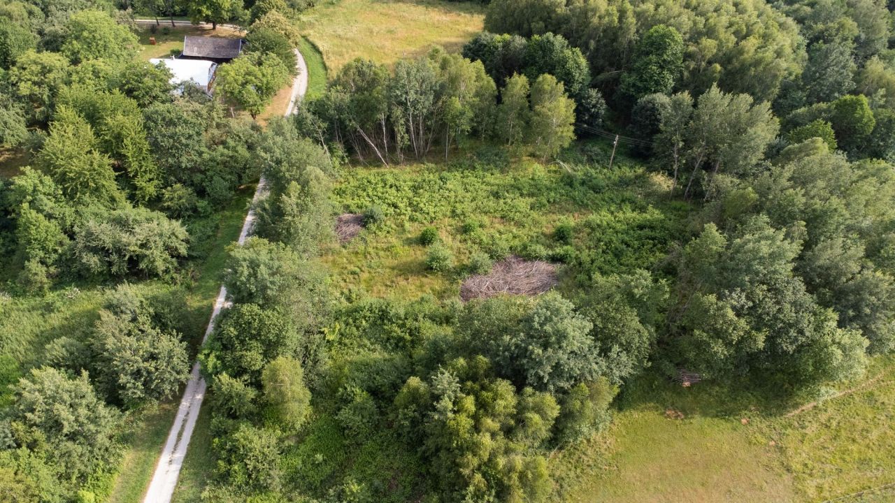 Działka rolna Nowy Borek. Zdjęcie 1