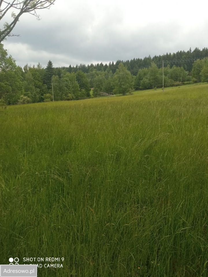 Działka rolno-budowlana Zawoja Błędna. Zdjęcie 7