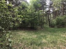 Działka inwestycyjna Stare Załubice. Zdjęcie 4