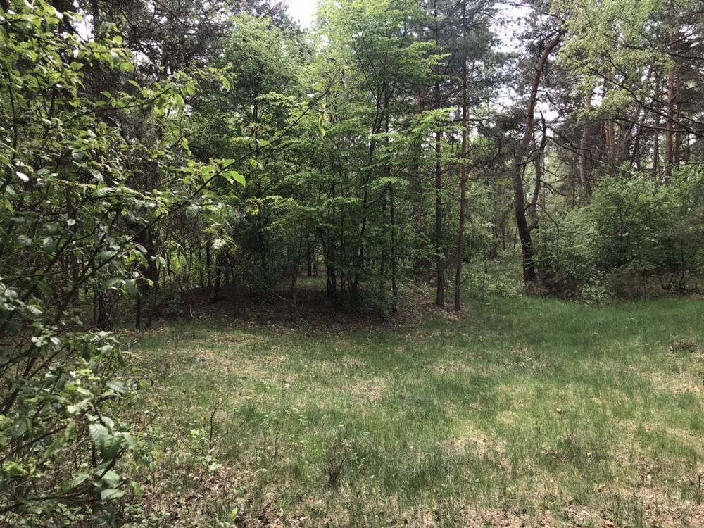 Działka inwestycyjna Stare Załubice. Zdjęcie 5