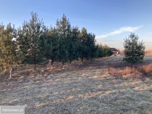 Działka budowlana Borowa. Zdjęcie 2