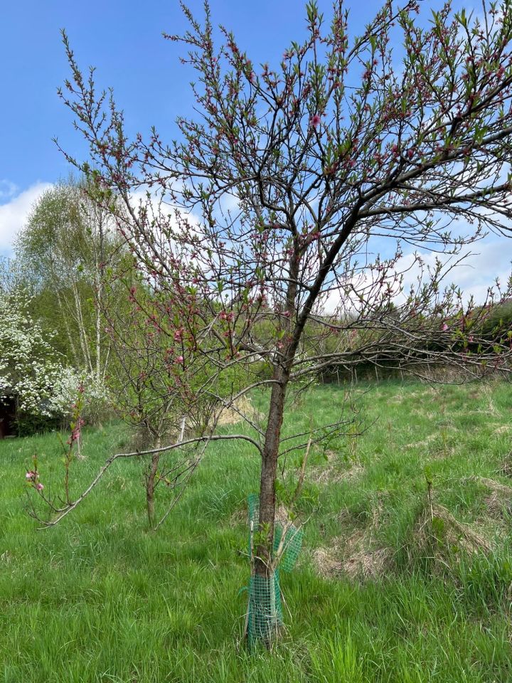 Działka budowlana Maków Podhalański, ul. Łąkowa. Zdjęcie 7