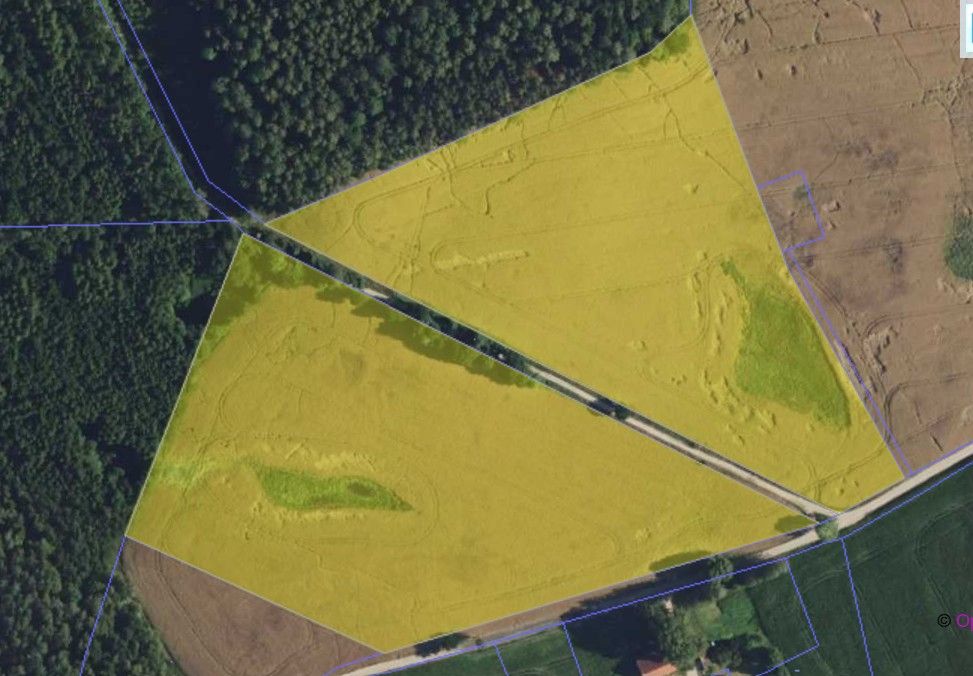 Działka rolna Klejdyty. Zdjęcie 7