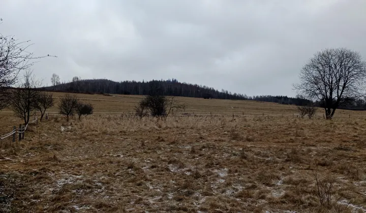 Działka rolna Kamesznica, ul. Spacerowa