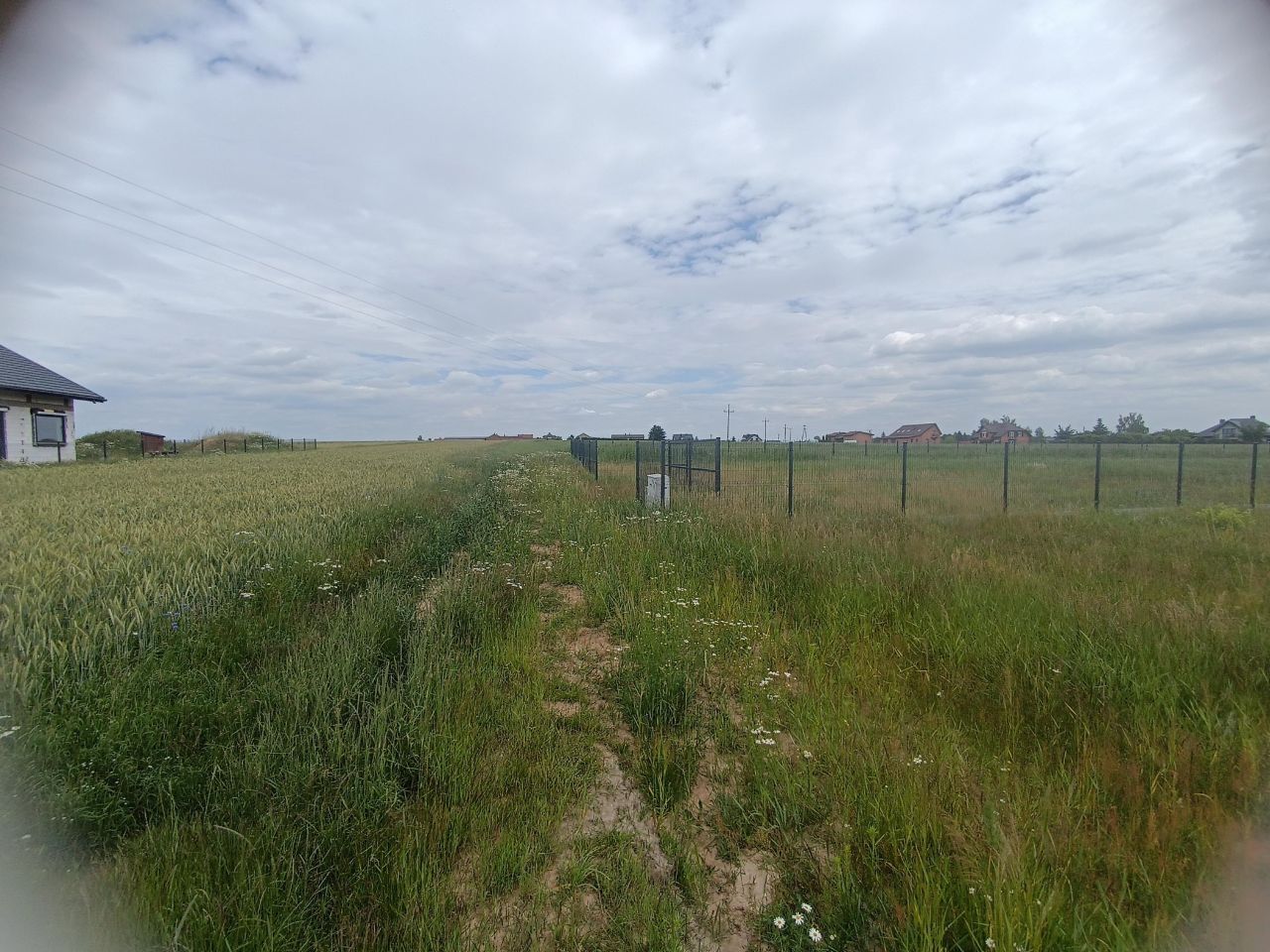 Działka inna Krężna kolonia. Zdjęcie 4