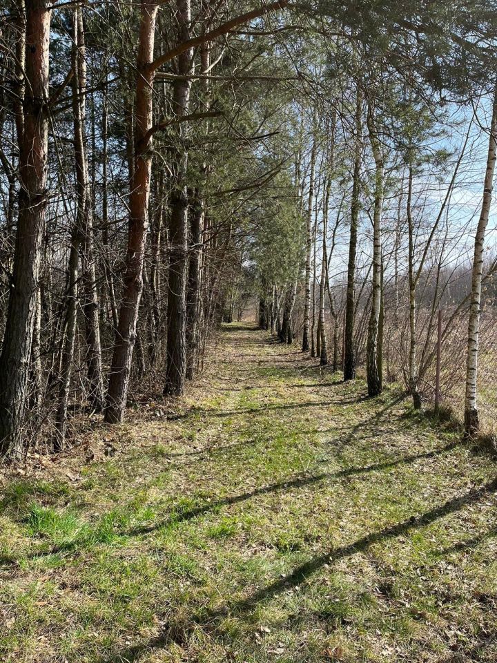 Działka rolno-budowlana Łochynia, ul. Spacerowa. Zdjęcie 8