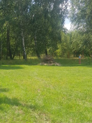 Działka rekreacyjna Adamów Drwalewski. Zdjęcie 1