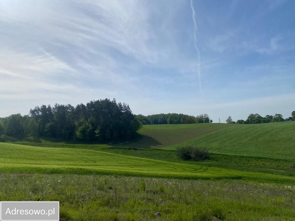 Działka budowlana Częstocin. Zdjęcie 13