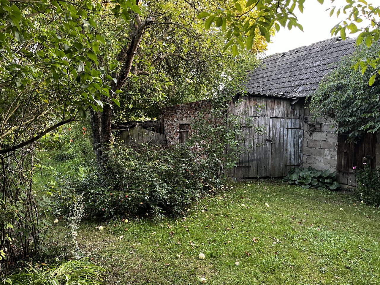 Działka budowlana Hajnówka Dolne, ul. Południowa. Zdjęcie 10