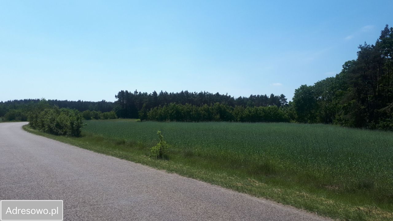 Działka rolna Pijawnia. Zdjęcie 2