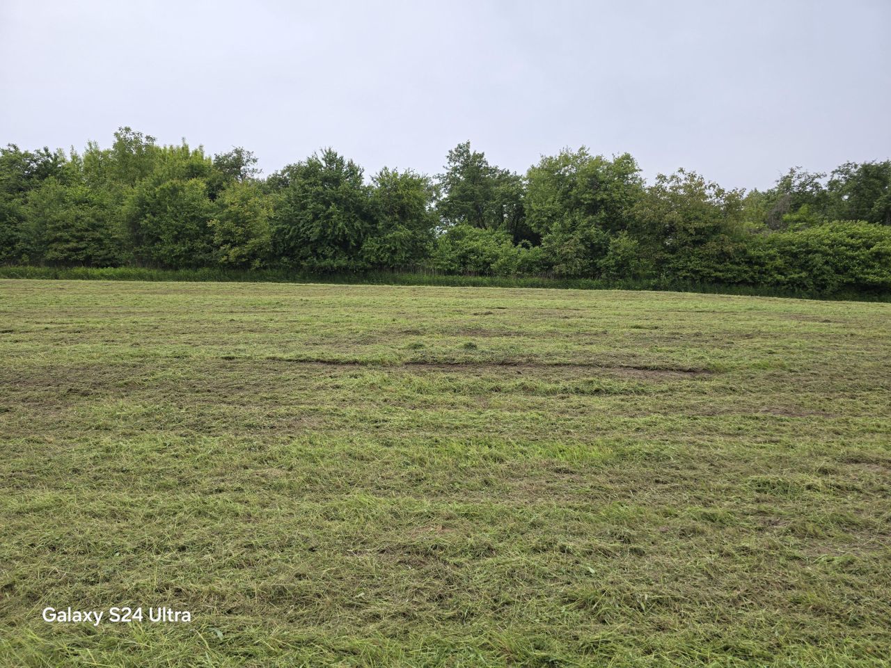 Działka rolno-budowlana Nowy Kamień. Zdjęcie 16