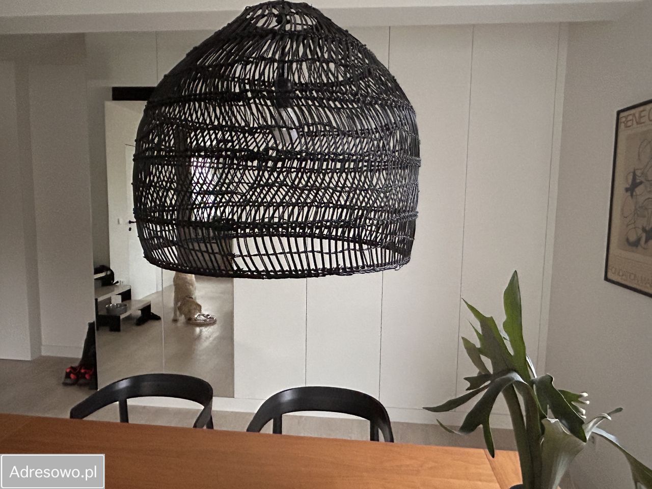 Mieszkanie 2-pokojowe Gdańsk Wrzeszcz, ul. Ignacego Matuszewskiego. Zdjęcie 9