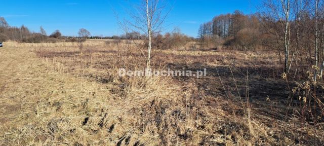 Działka inwestycyjna Borek. Zdjęcie 7