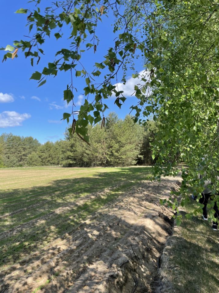 Działka rolna Szablak. Zdjęcie 8