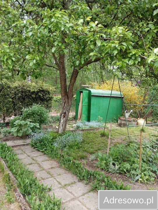 Działka rod Rypin, ul. Spokojna. Zdjęcie 6