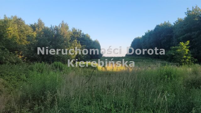 Działka inwestycyjna Swolszewice Małe, ul. Mostowa. Zdjęcie 6