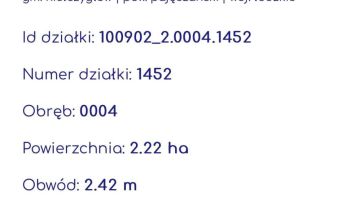 Działka leśna Chorzew