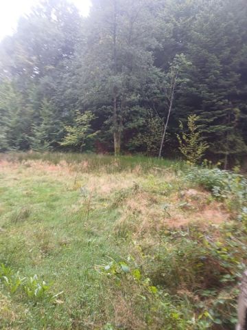 Działka budowlana Wola Batorska. Zdjęcie 1