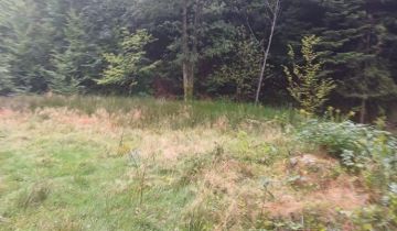 Działka budowlana Wola Batorska