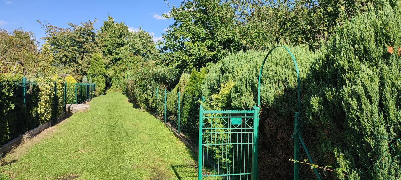 Działka rod Gliwice Śródmieście, ul. Stanisława Wyspiańskiego. Zdjęcie 4