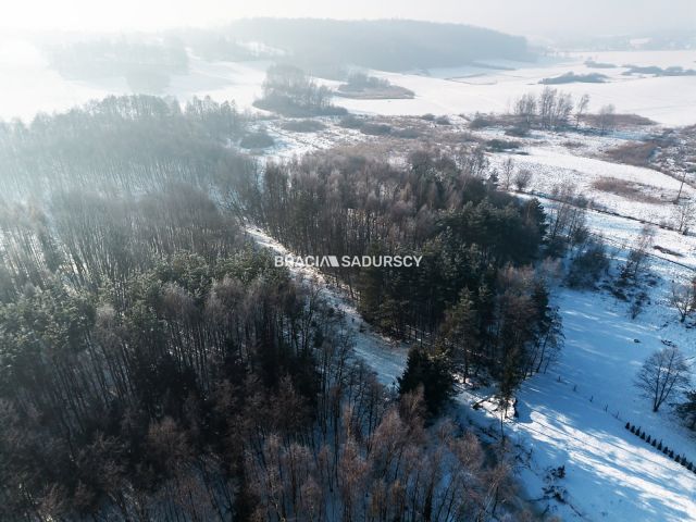 dom wolnostojący, 10 pokoi Brzezie. Zdjęcie 16