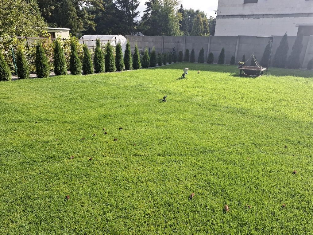 Działka rod Biedrusko. Zdjęcie 1