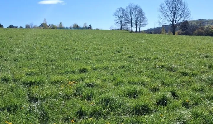 Działka budowlana Siedlęcin, ul. Lwówecka