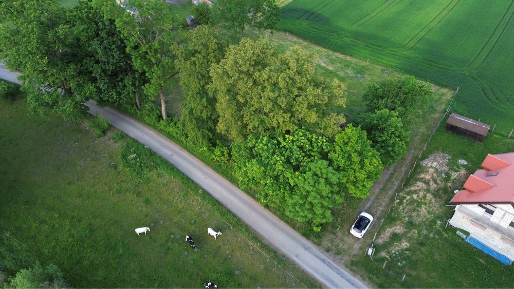 Działka budowlana Golubie. Zdjęcie 8