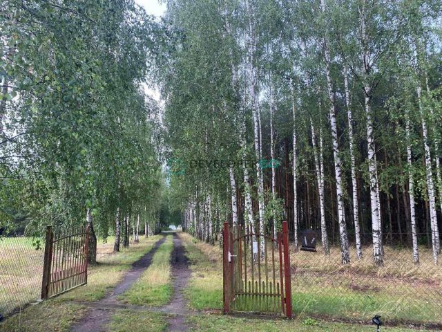 dom wolnostojący, 4 pokoje Cierpięta. Zdjęcie 3