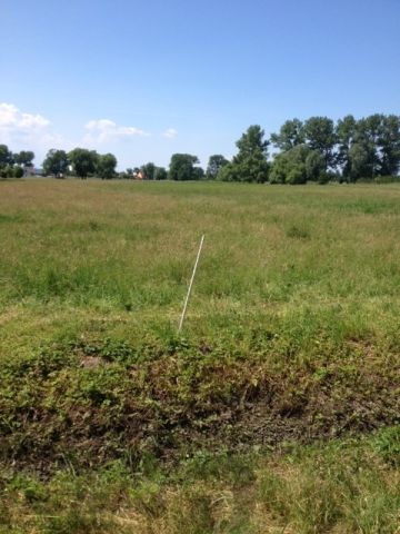 Działka rolna Lubczyna, ul. Cisowa. Zdjęcie 1