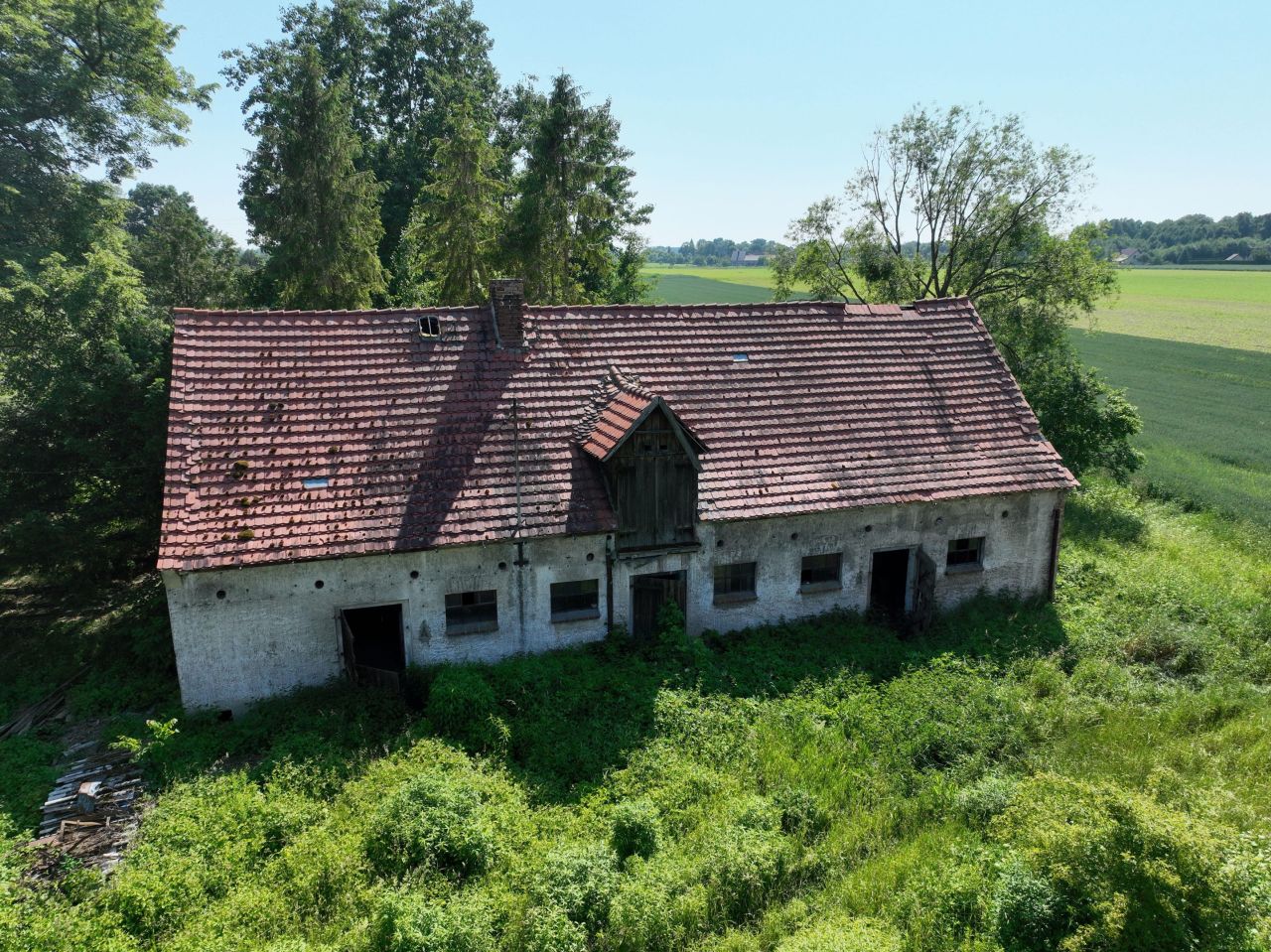 Działka siedliskowa Siekierowice. Zdjęcie 2
