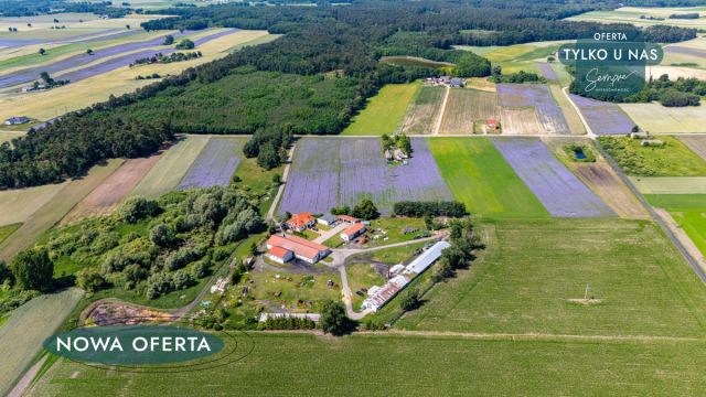 Działka inwestycyjna Łuszczewo. Zdjęcie 7