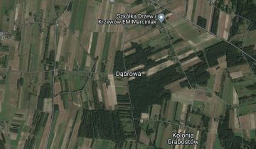 Działka rolna Dąbrowa