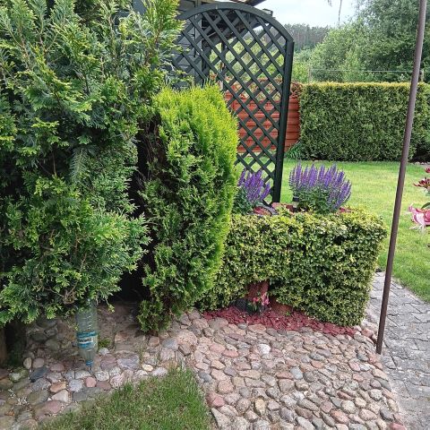 Działka rod Wejherowo Centrum, ul. mjr. Henryka Sucharskiego. Zdjęcie 13