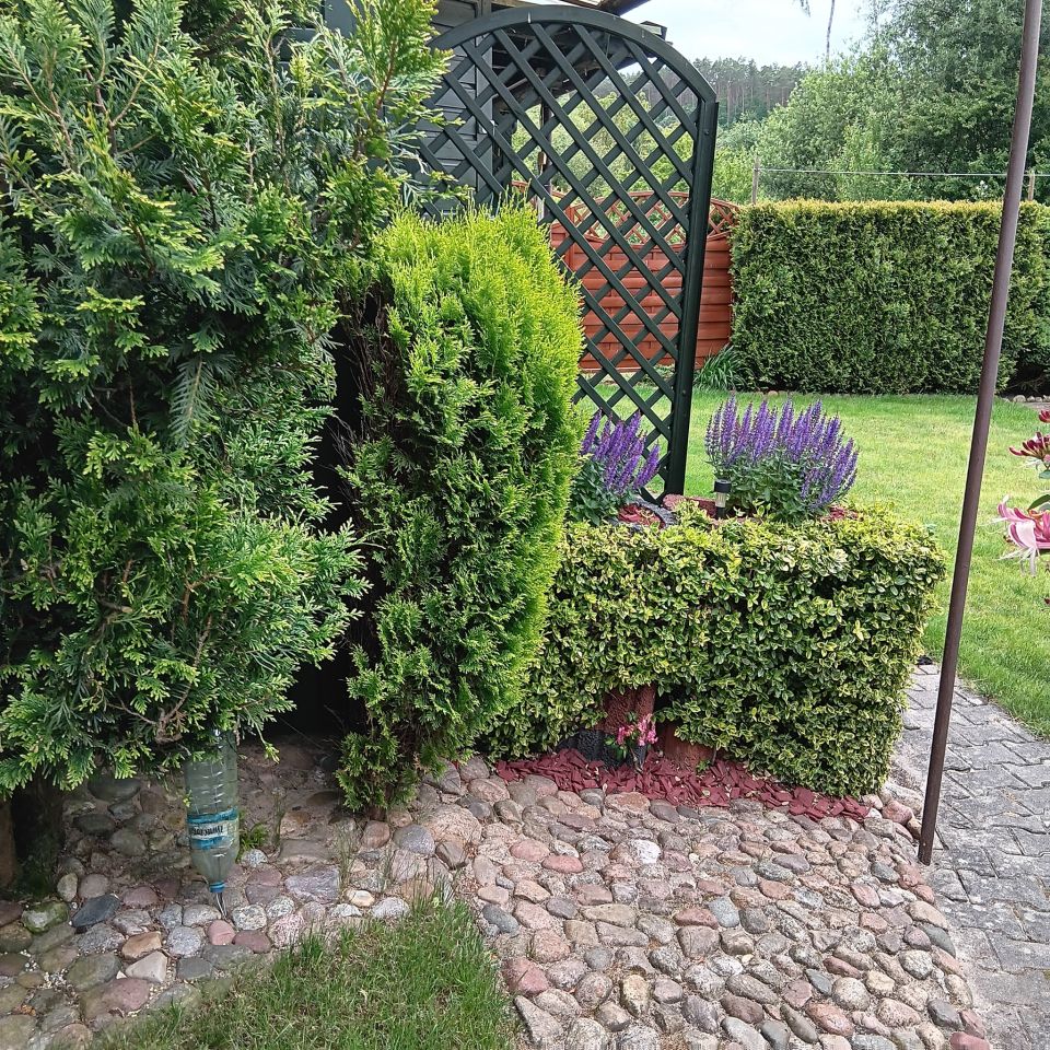 Działka rod Wejherowo Centrum, ul. mjr. Henryka Sucharskiego. Zdjęcie 13