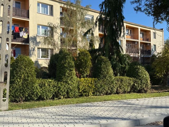 Mieszkanie 3-pokojowe Żabno. Zdjęcie 1