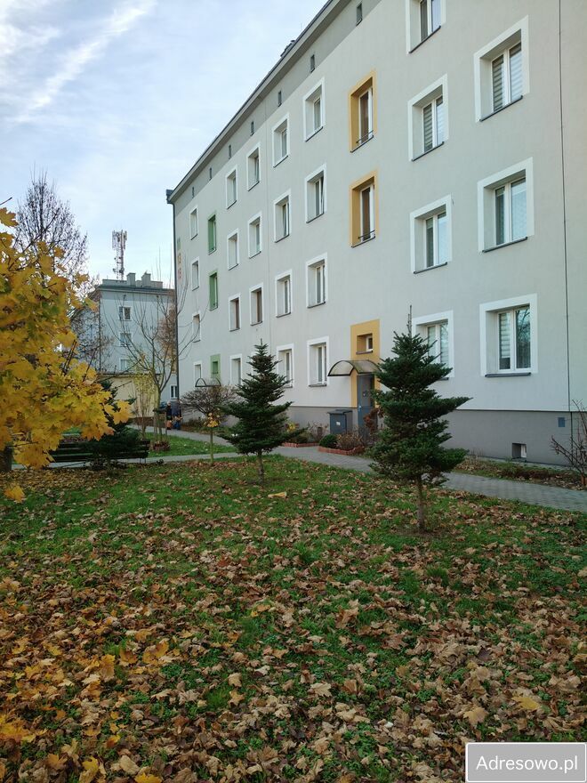 Mieszkanie 2-pokojowe Sosnowiec Sielec, ul. Królowej Jadwigi