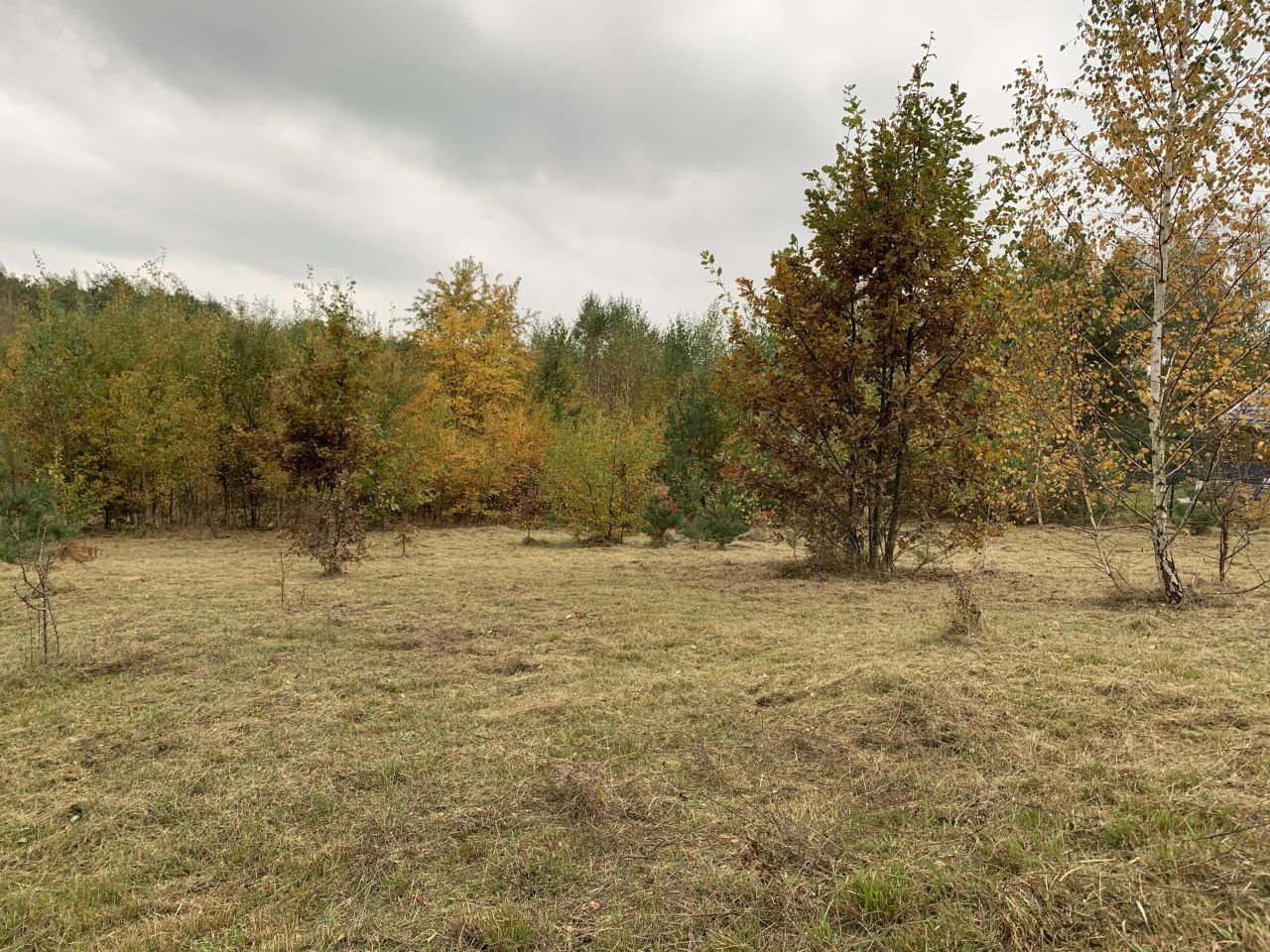 Działka budowlana Cychry. Zdjęcie 8