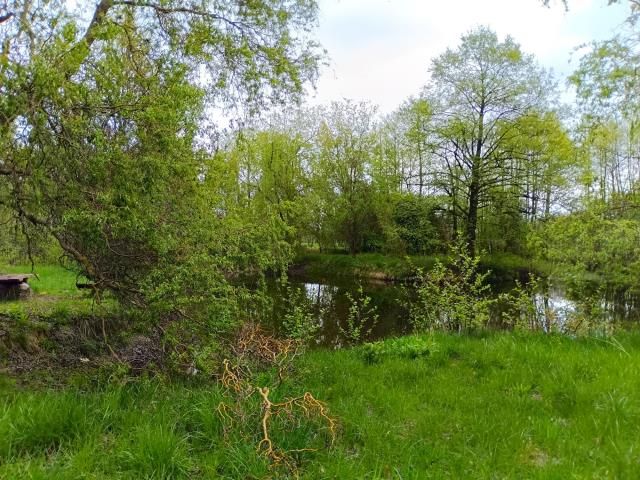 Działka rolna Smogorzewo Pańskie. Zdjęcie 5