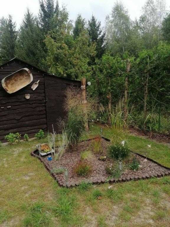 Działka rekreacyjna Rogóźno. Zdjęcie 3