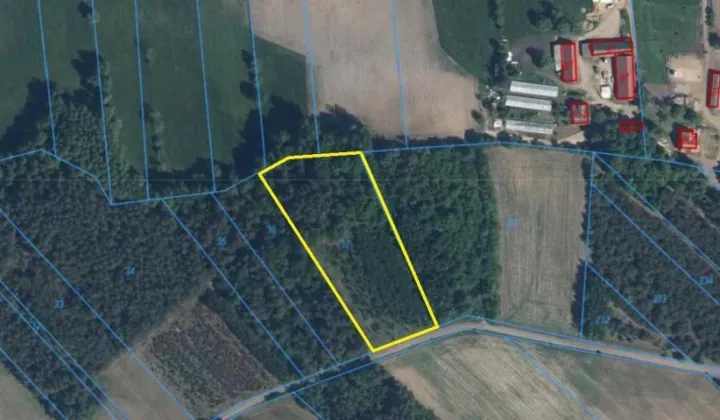 Działka leśna Stary Cydzyn