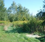 Działka budowlana Radomierzyce. Zdjęcie 4