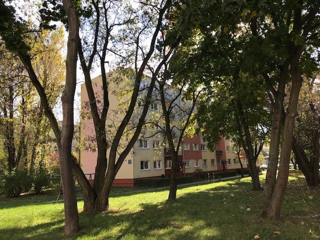 Mieszkanie 3-pokojowe Łódź Górna, ul. Będzińska