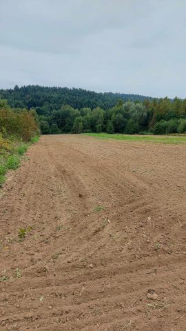 Działka rolno-budowlana Hyżne. Zdjęcie 1