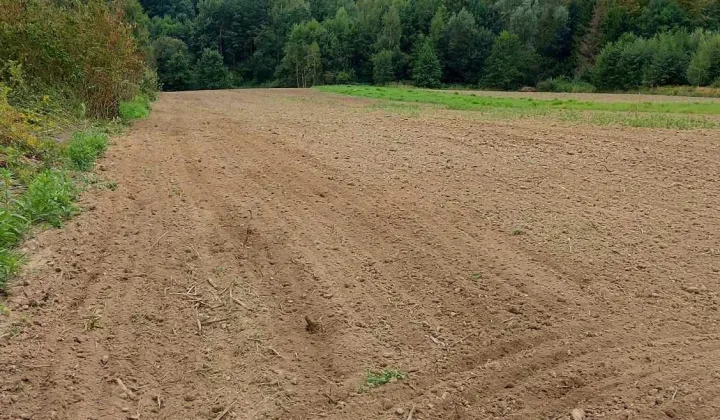 Działka rolno-budowlana Hyżne