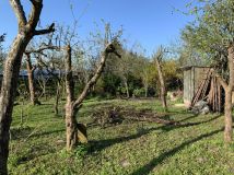 Działka rod Elbląg. Zdjęcie 3