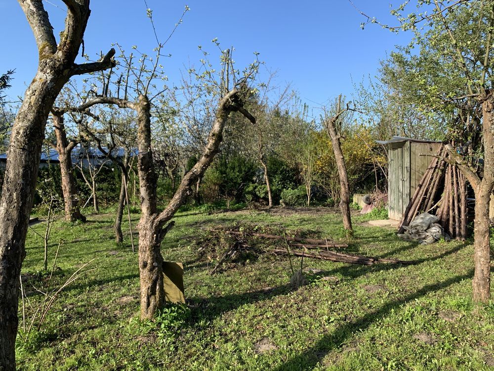 Działka rod Elbląg. Zdjęcie 4