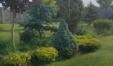 dom wolnostojący, 3 pokoje Dąbrowa