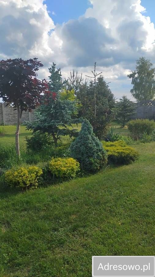 dom wolnostojący, 3 pokoje Dąbrowa. Zdjęcie 2