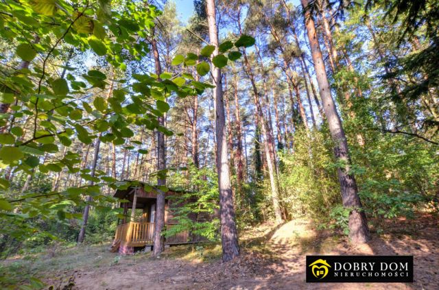 dom letniskowy, 1 pokój Giby. Zdjęcie 1